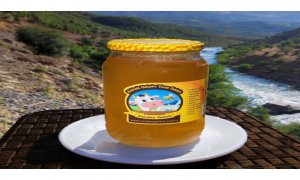 Organik Karakovan Süzme Balı 800 GR